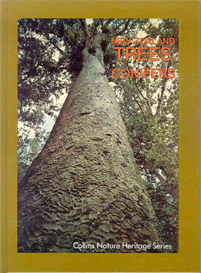 New Zealand Trees Conifers - Cover