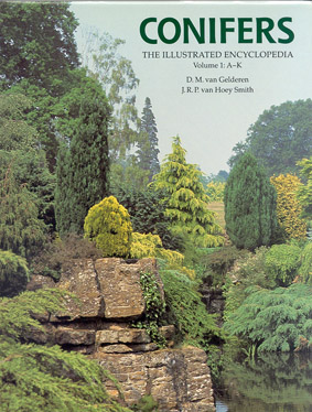 Conifers: The Illustrated Encyclopedia - Cover