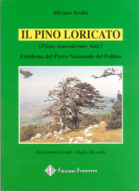 Il Pino Loricato - Cover