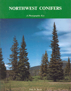 Northwest Conifers, A Photographic Key - Cover