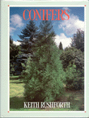 Conifers - Cover