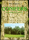 Conifers, Morphology and Variation - Cover