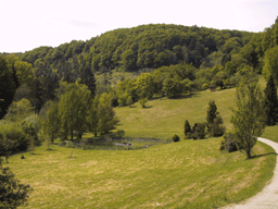 Arboretum du Vallon de l'Aubonne