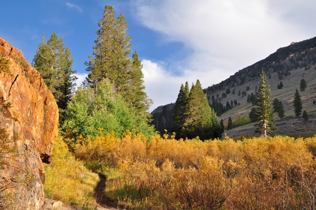 John Muir Wilderness