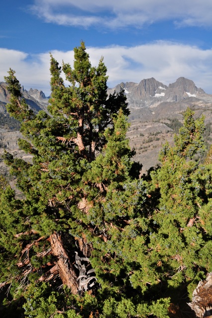 John Muir Wilderness