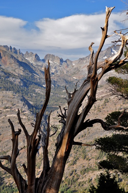 John Muir Wilderness