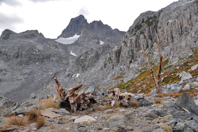 John Muir Wilderness