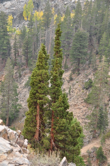 John Muir Wilderness