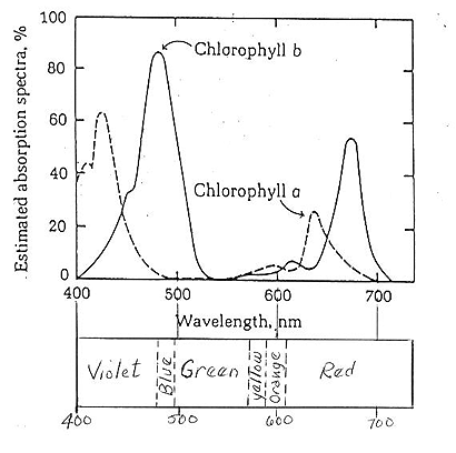 psyn-6.gif (35552 bytes)