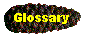 Glossary