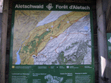 Aletsch Map