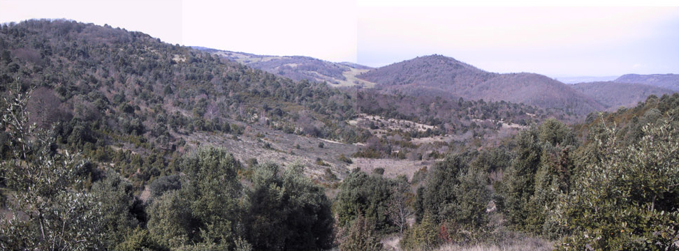 Panorama : Bouno Mort Unit