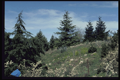 Unit Le Pech - April 1999